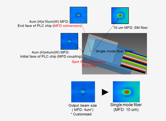 Spot Size Conversion (SSC) PLC Chip & Fiber Array2